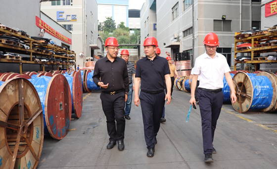 應(yīng)急管理部四川消防研究所、東莞市質(zhì)檢中心一行蒞臨民興電纜調(diào)研指導(dǎo)