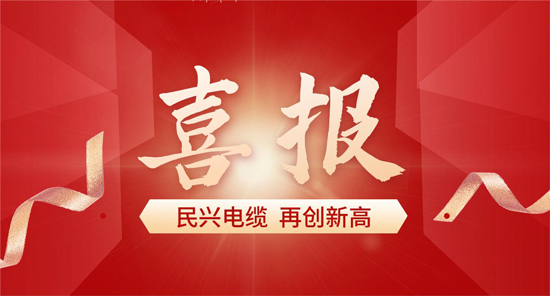 東莞唯一！民興電纜入選廣東省首席質(zhì)量官質(zhì)量變革創(chuàng)新典型案例